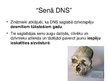 Prezentācija 'Prezentācija par bioloģijas atklājumu - DNS', 9.