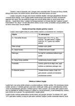 Referāts 'Liepājas tūrisma resursu analīze un jauna tūrisma produkta piedāvājums', 2.