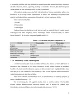 Diplomdarbs 'Informācijas plūsmas analīze, informācijas apstrāde un tās uzlabošanas iespējas ', 10.