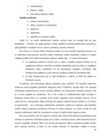 Diplomdarbs 'Informācijas plūsmas analīze, informācijas apstrāde un tās uzlabošanas iespējas ', 42.