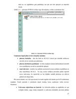 Diplomdarbs 'Informācijas plūsmas analīze, informācijas apstrāde un tās uzlabošanas iespējas ', 67.