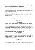 Konspekts 'Eksporta stratēģija un plāns', 11.