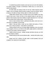 Eseja 'Pārdomas par eposa "Lāčplēsis" galvenajiem varoņiem', 7.