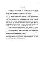 Referāts 'Budžeta plānošanas būtība, tā veidi, naudas līdzekļu budžets', 3.