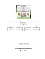 Referāts 'Veselīgu ēdienu recepšu mājaslapa', 1.