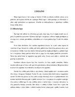 Referāts 'Veselīgu ēdienu recepšu mājaslapa', 7.