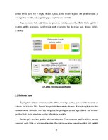 Referāts 'Veselīgu ēdienu recepšu mājaslapa', 8.