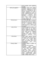 Konspekts '"Ideju katalogs" vizuālajā mākslā', 3.