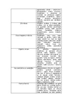 Konspekts '"Ideju katalogs" vizuālajā mākslā', 5.