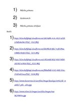 Referāts 'Šumeru tauta', 16.