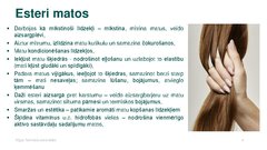 Prezentācija 'Esteri kosmētikā', 4.