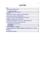 Referāts 'Vārītās desas (salami) ražošana', 2.