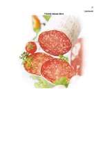 Referāts 'Vārītās desas (salami) ražošana', 17.