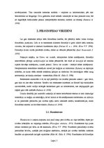 Referāts 'Renesanses laika zinātne un filosofija', 5.