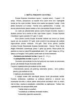 Referāts 'Pašnodarbinātu personu profesionālas kvalifikācijas atzīšana ES', 4.