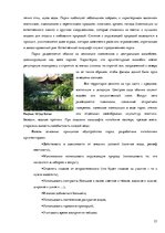 Referāts 'Ландшафтный дизайн', 23.