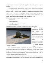 Referāts 'Ландшафтный дизайн', 26.