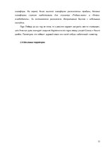 Referāts 'Ландшафтный дизайн', 33.