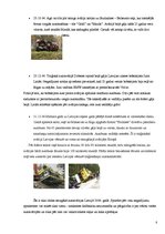 Referāts 'Autoavāriju statistika Latvijā 2004.gadā', 8.