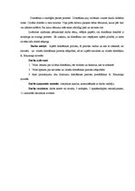 Referāts 'Sieviešu un vīriešu domāšanas procesa īpatnības Rūdolfa Blaumaņa novelēs', 3.