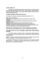 Referāts 'Valodas situācija un politika Čehijas Republikā', 13.