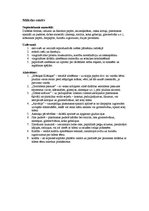 Konspekts 'Nodarbību konspekts pirmsskolā', 5.