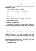 Diplomdarbs 'Причины безграмотности русскоязычных латвийских подростков', 3.