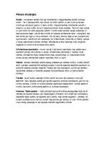 Konspekts 'Kultūras vēsture', 1.