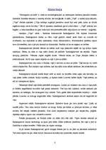 Referāts 'F.Dostojevskis "Noziegums un sods"', 6.