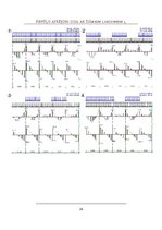 Paraugs 'Daudzstāvu ēkas projekts ar nepilnu ēkas karkasu un pagraba stāvu', 24.