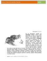 Paraugs 'Nacionālā identitāte. Aptaujas rezultāti', 2.