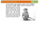 Paraugs 'Nacionālā identitāte. Aptaujas rezultāti', 3.