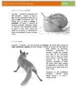 Paraugs 'Nacionālā identitāte. Aptaujas rezultāti', 4.