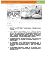 Paraugs 'Nacionālā identitāte. Aptaujas rezultāti', 5.