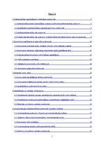 Prakses atskaite 'Prakses atskaite grāmatvedībā', 2.