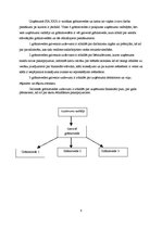 Prakses atskaite 'Prakses atskaite grāmatvedībā', 6.