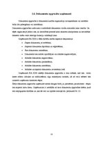 Prakses atskaite 'Prakses atskaite grāmatvedībā', 19.