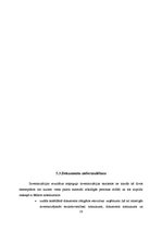 Prakses atskaite 'Prakses atskaite grāmatvedībā', 29.