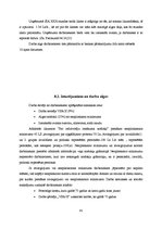 Prakses atskaite 'Prakses atskaite grāmatvedībā', 45.