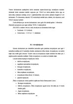 Prakses atskaite 'Prakses atskaite grāmatvedībā', 46.