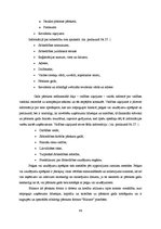 Prakses atskaite 'Prakses atskaite grāmatvedībā', 49.