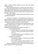 Prakses atskaite 'Prakses atskaite grāmatvedībā', 55.