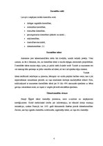 Konspekts 'Dzemdības, to veidi un pozas', 4.