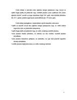 Biznesa plāns 'Projekts uzņēmuma SIA Kāzu aģentūra AMORE izveide Rīgā 2008.gadā', 3.