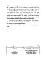 Biznesa plāns 'Projekts uzņēmuma SIA Kāzu aģentūra AMORE izveide Rīgā 2008.gadā', 9.