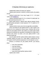 Biznesa plāns 'Projekts uzņēmuma SIA Kāzu aģentūra AMORE izveide Rīgā 2008.gadā', 13.