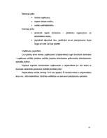 Biznesa plāns 'Projekts uzņēmuma SIA Kāzu aģentūra AMORE izveide Rīgā 2008.gadā', 14.