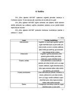 Biznesa plāns 'Projekts uzņēmuma SIA Kāzu aģentūra AMORE izveide Rīgā 2008.gadā', 15.