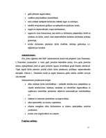 Biznesa plāns 'Projekts uzņēmuma SIA Kāzu aģentūra AMORE izveide Rīgā 2008.gadā', 17.