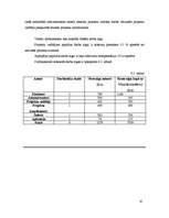 Biznesa plāns 'Projekts uzņēmuma SIA Kāzu aģentūra AMORE izveide Rīgā 2008.gadā', 20.